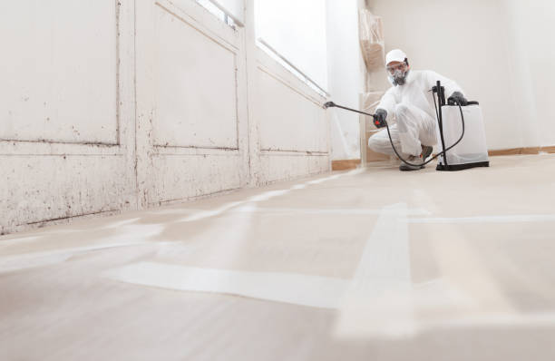 24/7 Emergency Mold Removal experts in Renton, WA